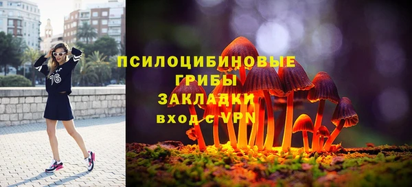 круглые Бородино