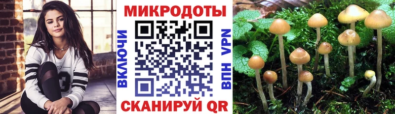 shop состав  Люберцы  Галлюциногенные грибы мицелий 
